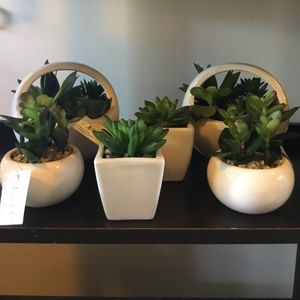 1 set of artificial decorative plants set.
